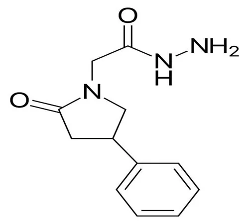 fonturacetam hydrazide nm
