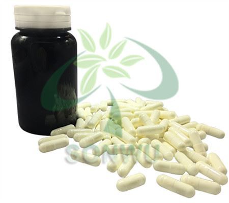 fonturacetam hydrazide gn