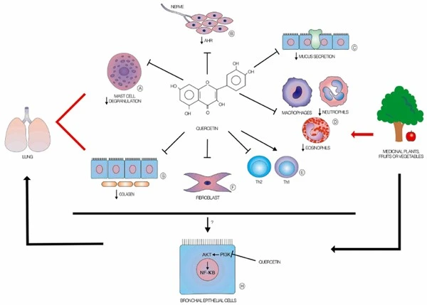 page-600-429