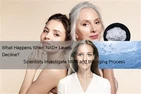 Що відбувається, коли рівень NAD+ знижується? Вчені досліджують NMN і процес ...