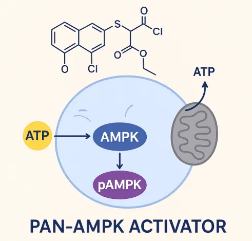 ATX-304 Sodium Salt effect ATX-304 Sodium Salt effect
